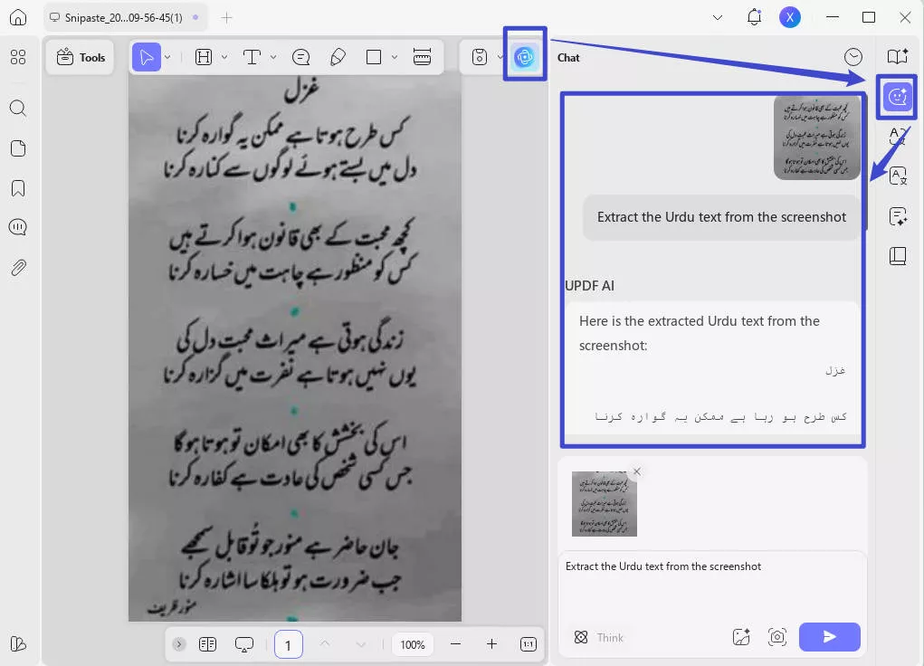 provide prompt for urdu OCR