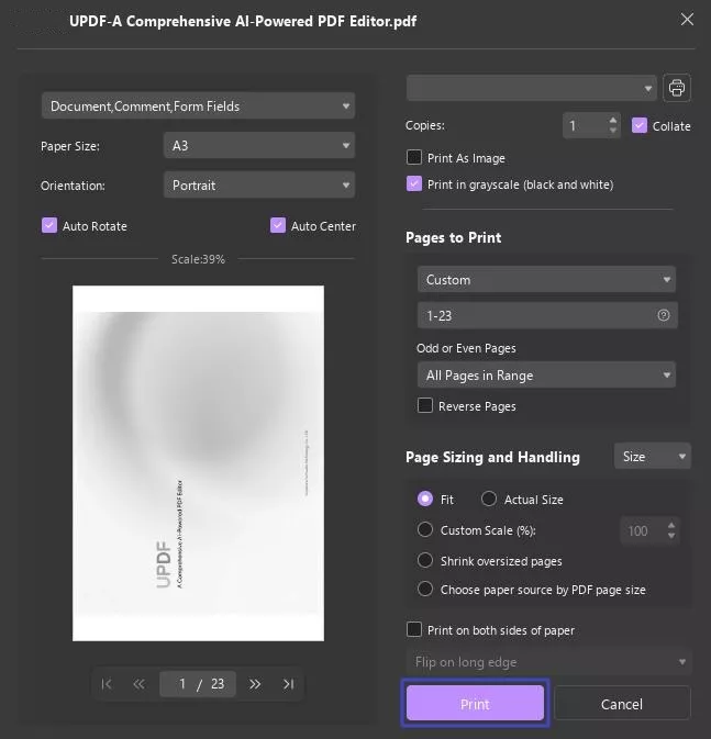 print with customized settings