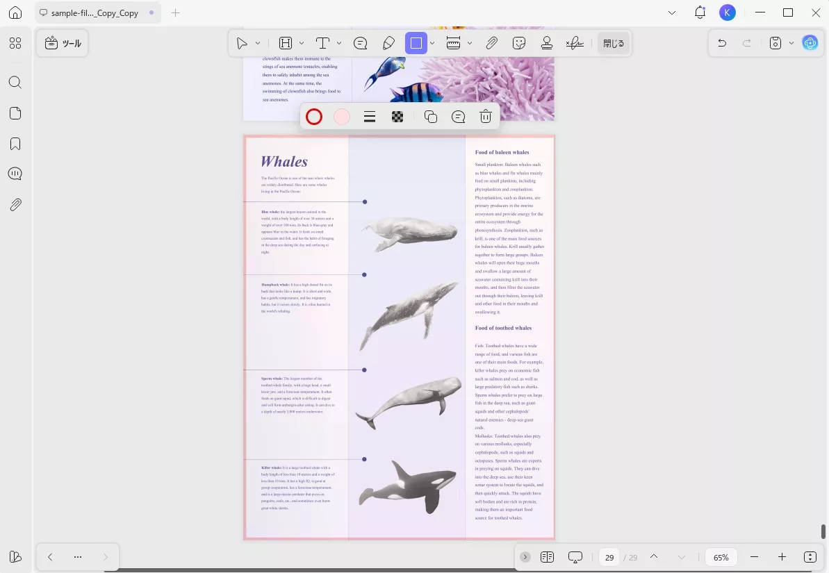 ページ全体を囲む