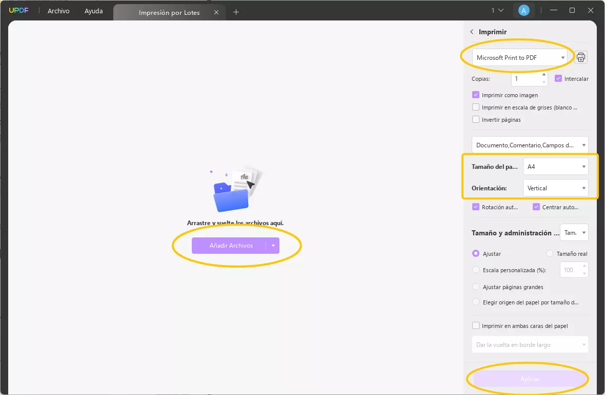 aplicar impresion por lote convertir pdf rellenable a pdf normal