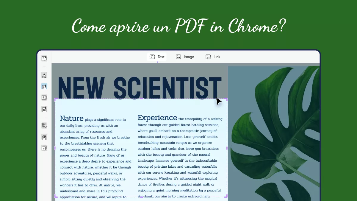 Una guida completa per aprire i PDF in Chrome