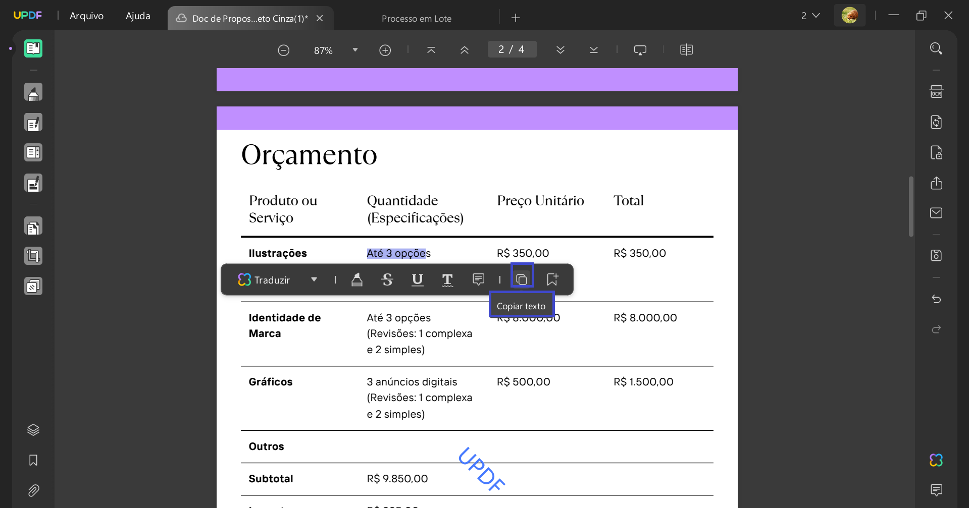 Conversor de PDF para Texto com IA 