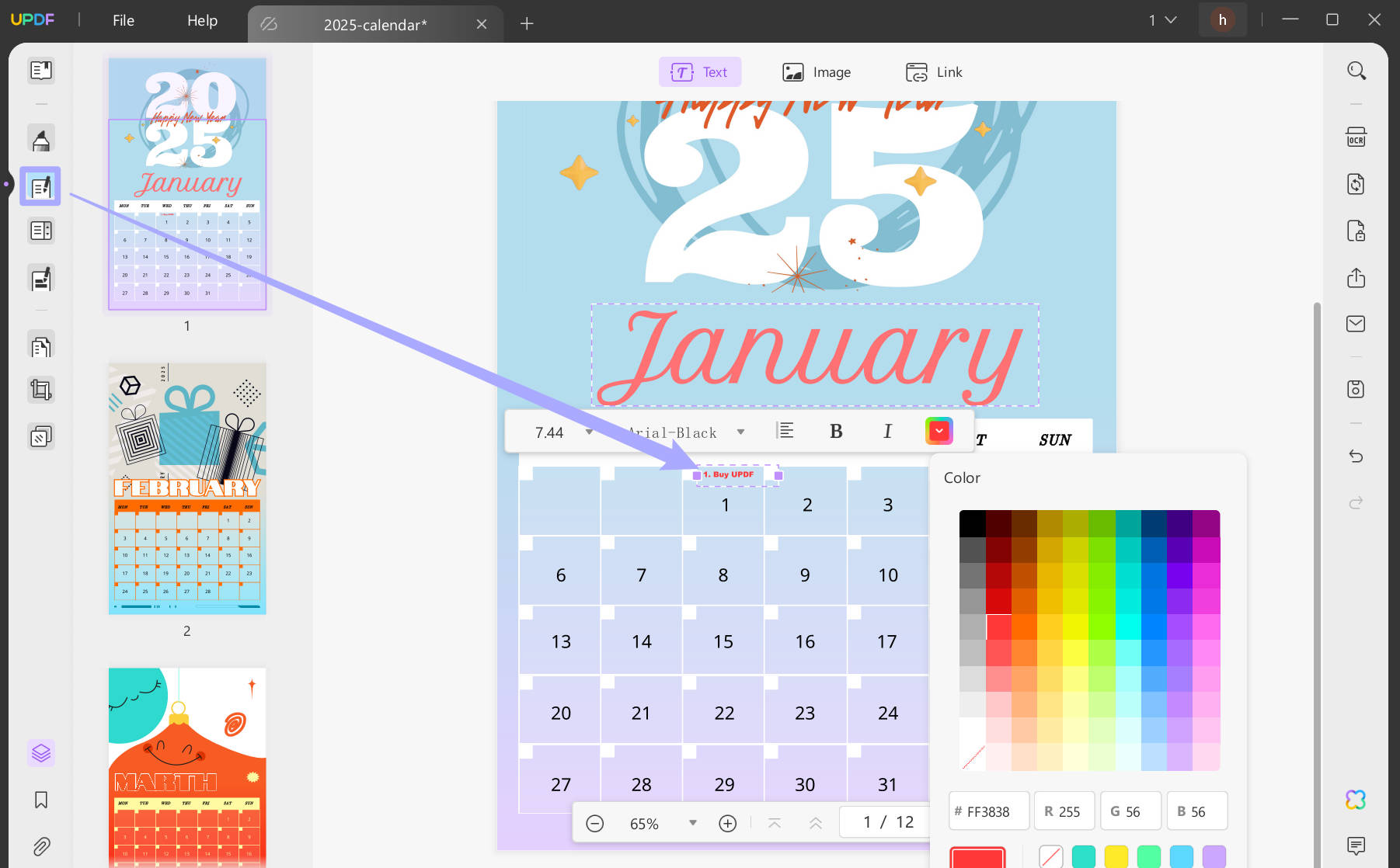 2025 PLANNER TEMPLATE FREE DOWNLOAD PDF visual data 5