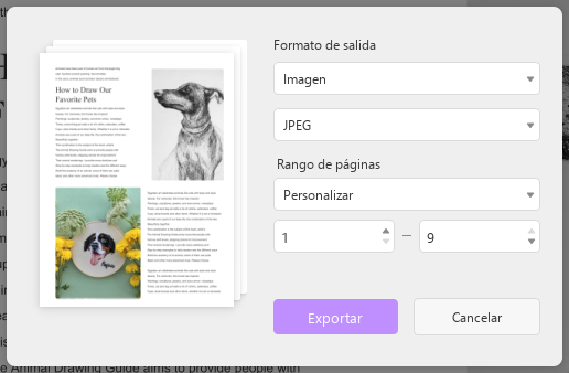 exportar como imagen