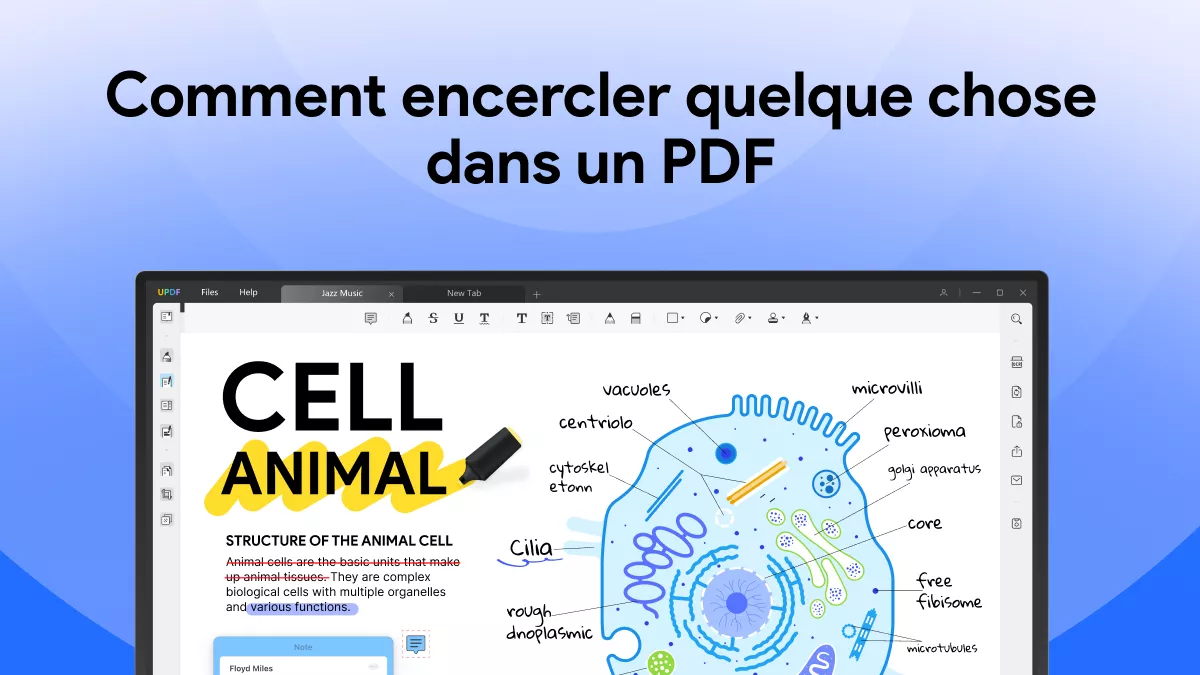 Apprenez à encercler quelque chose dans MS Word : guide étape par étape pour le texte et les images