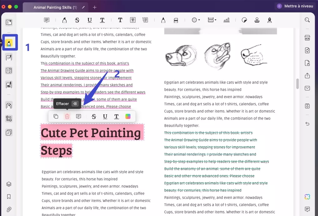 supprimer surlignage pdf mac