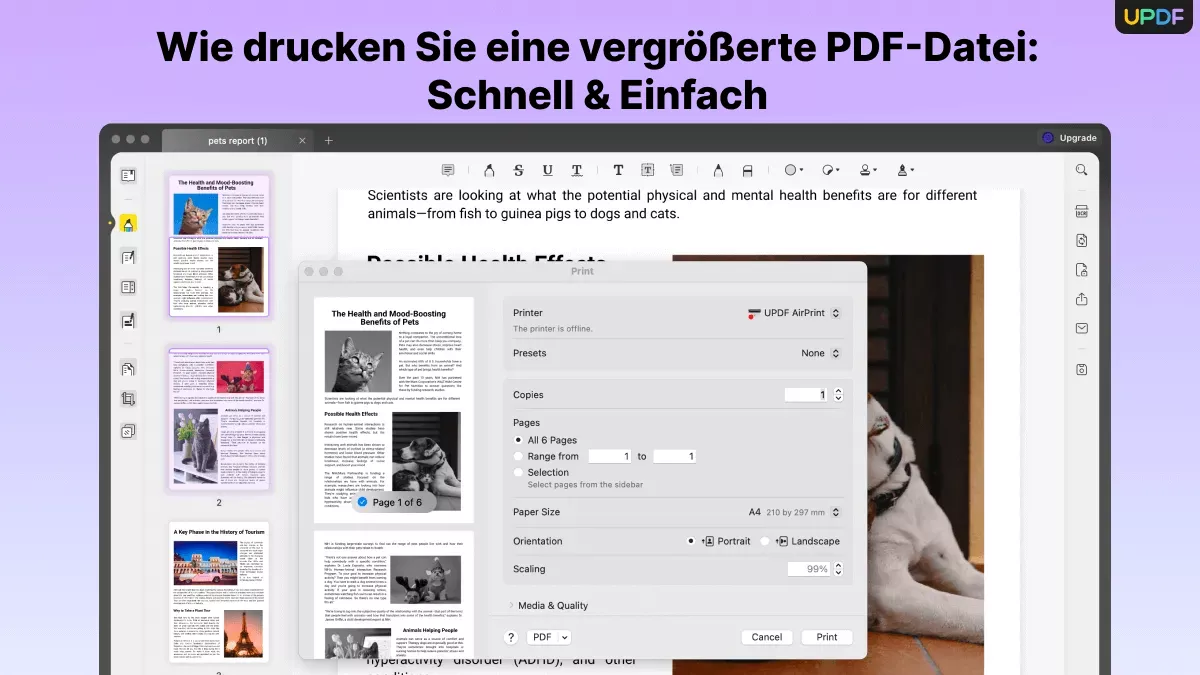 Wie drucken Sie eine vergrößerte PDF-Datei:Schnell & Einfach