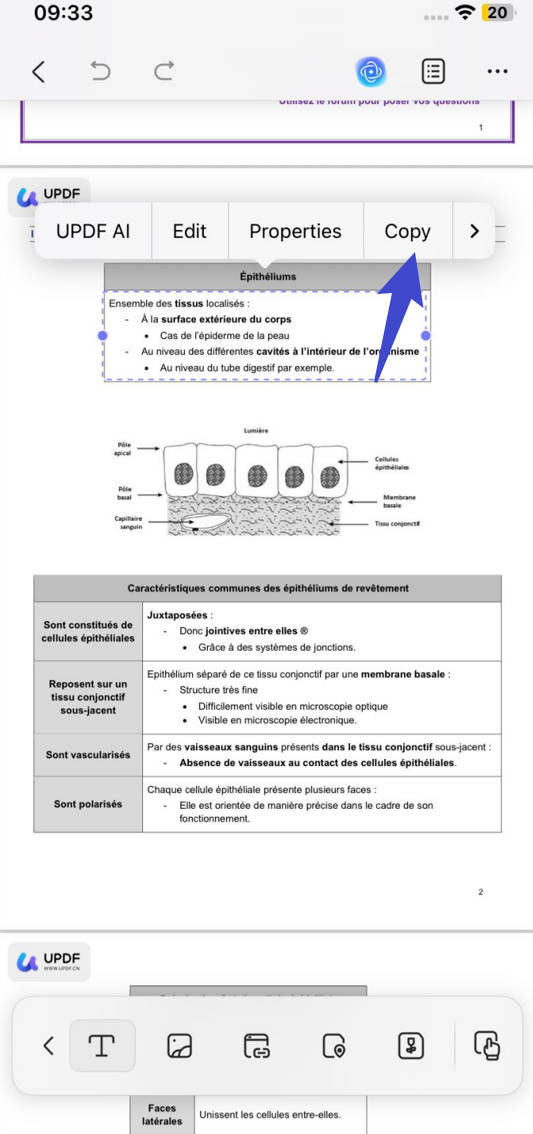 copy the text of the OCRred form