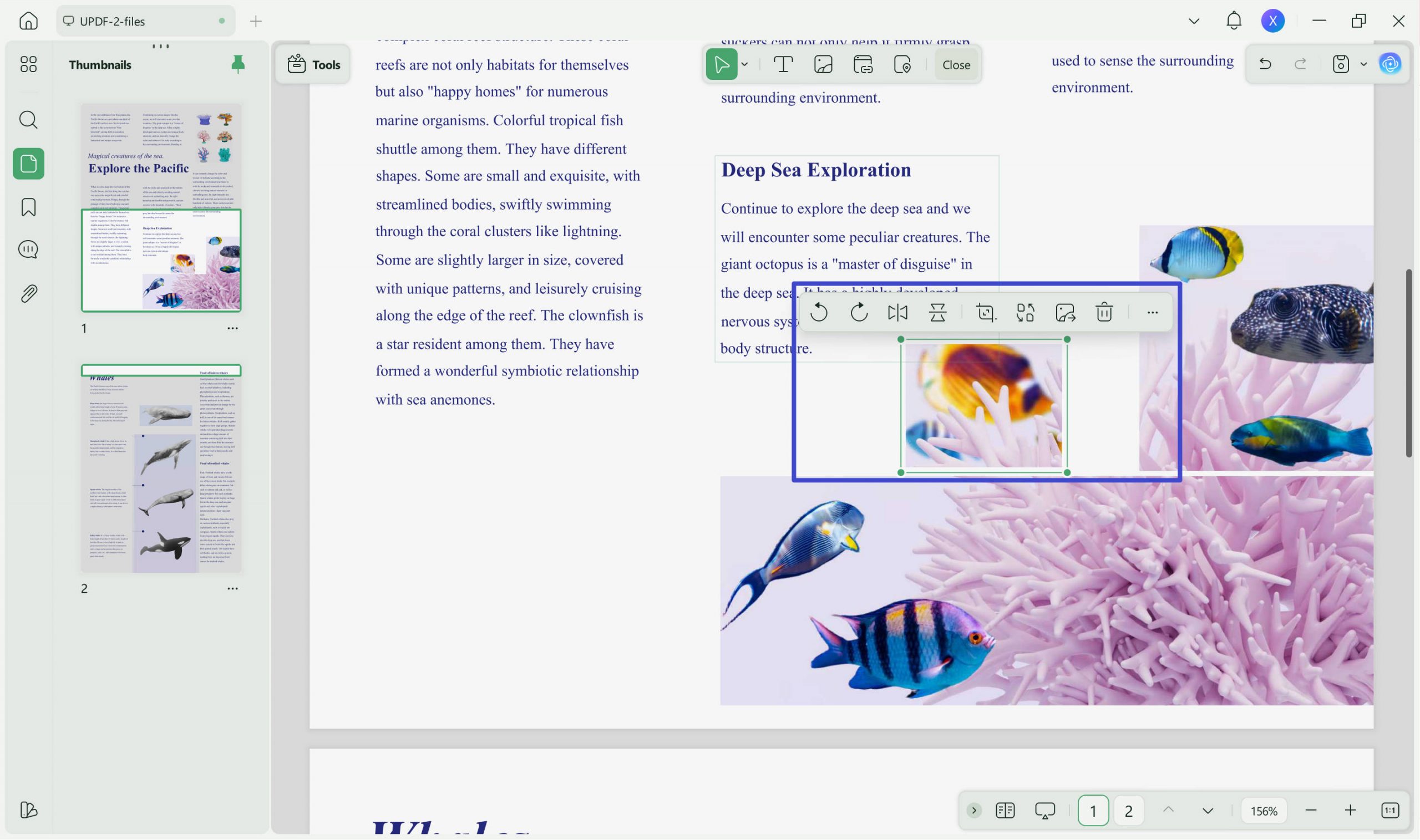 make adjustments in pdf images