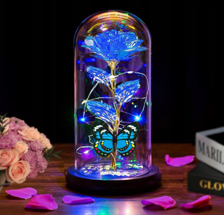 glass dome