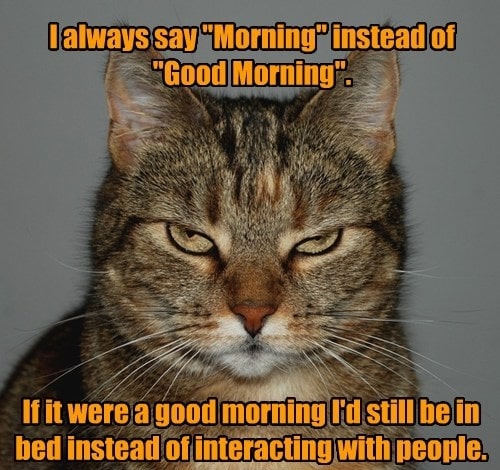 always in bad mood meme