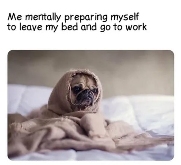 溫暖冬日早晨