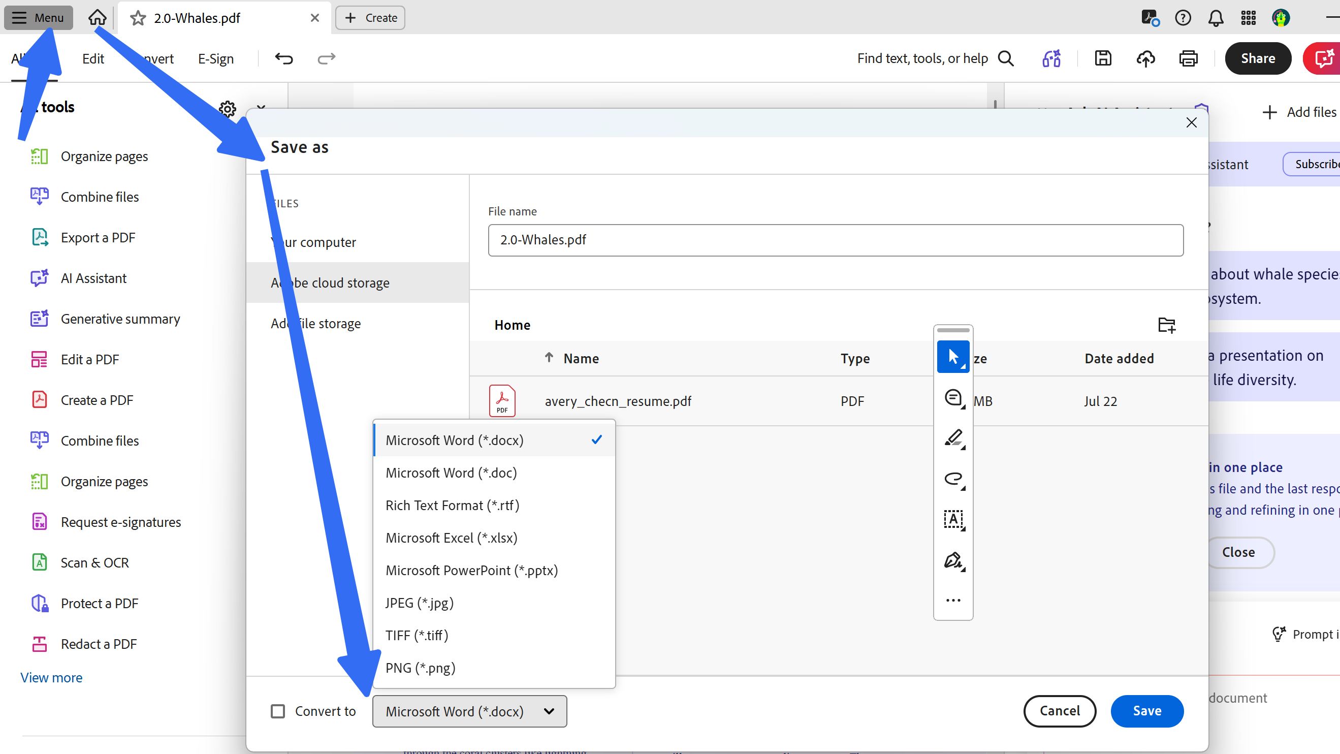 convert pdf to word to translate on adobe