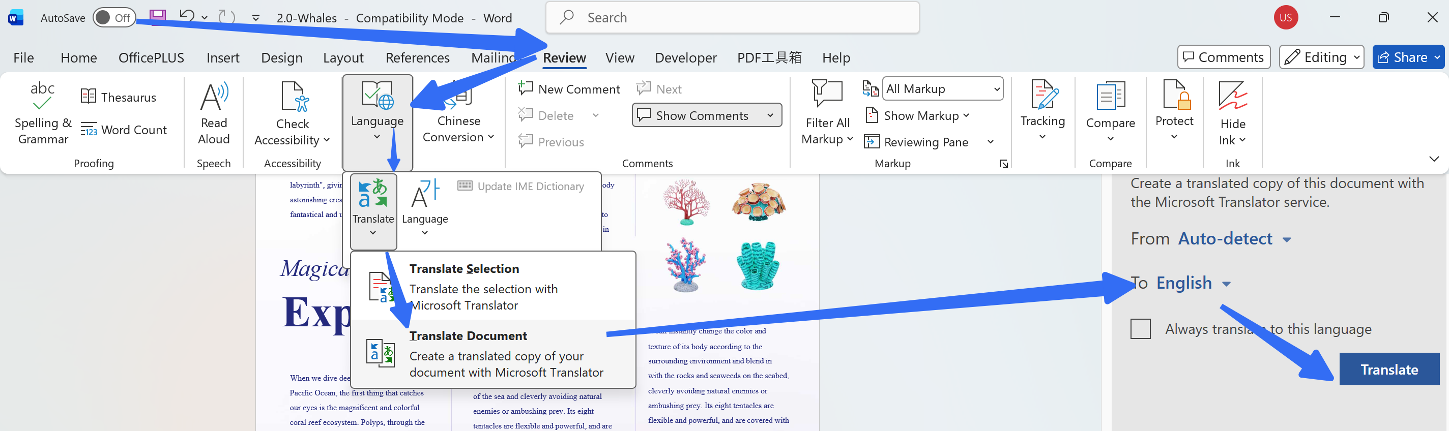translate pdf in word