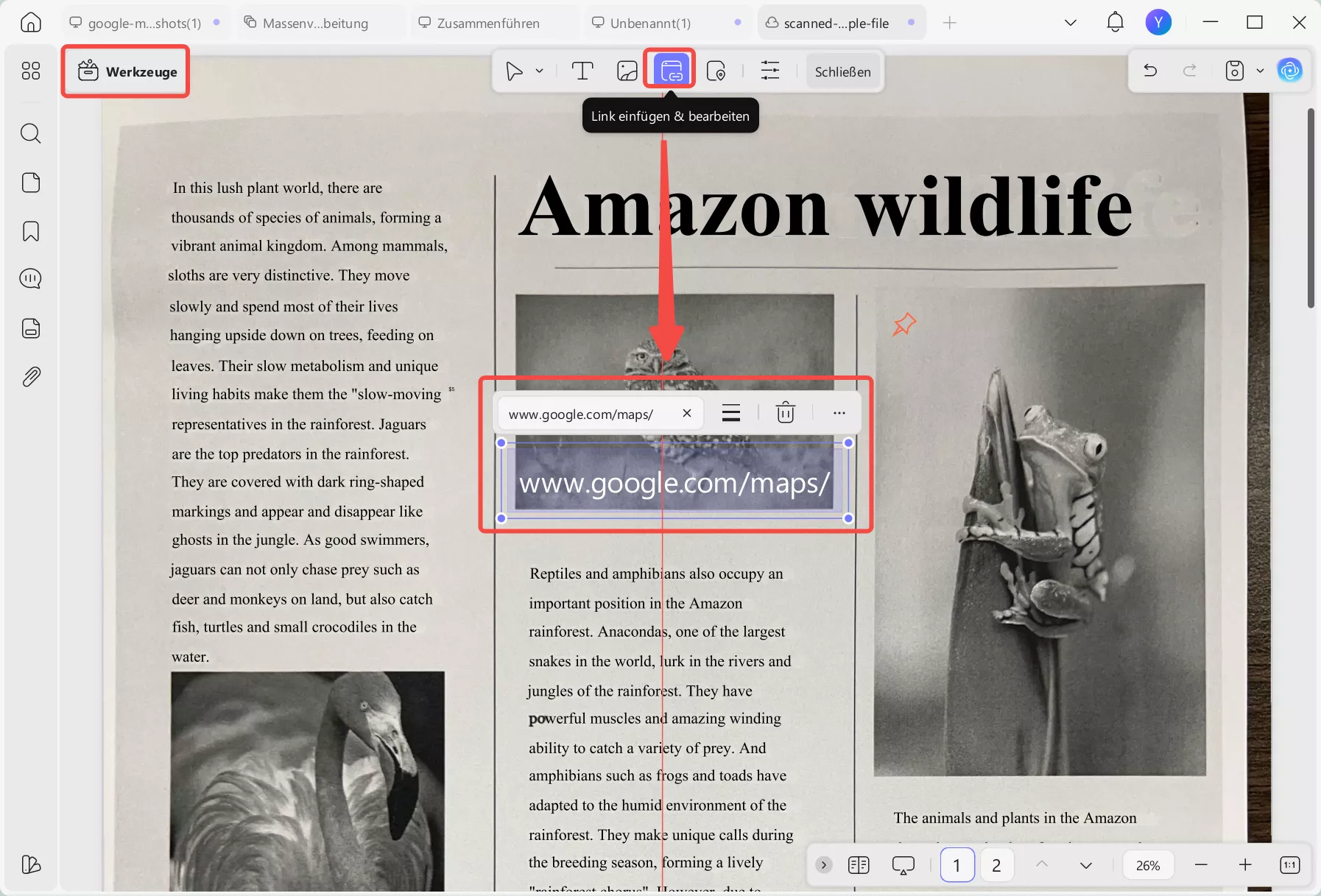 Google-Karten-Link in PDF-Datei einbetten