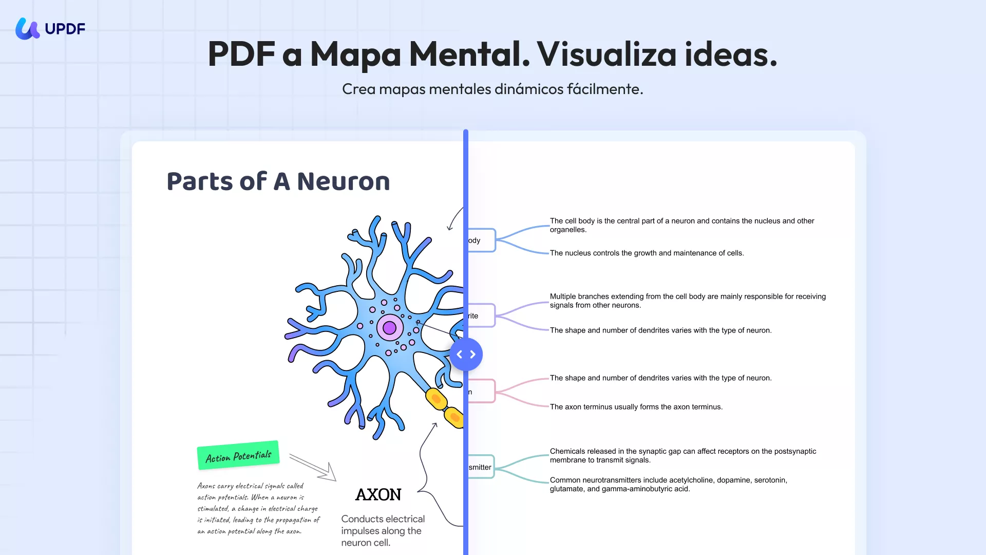 pdf a mapa mental