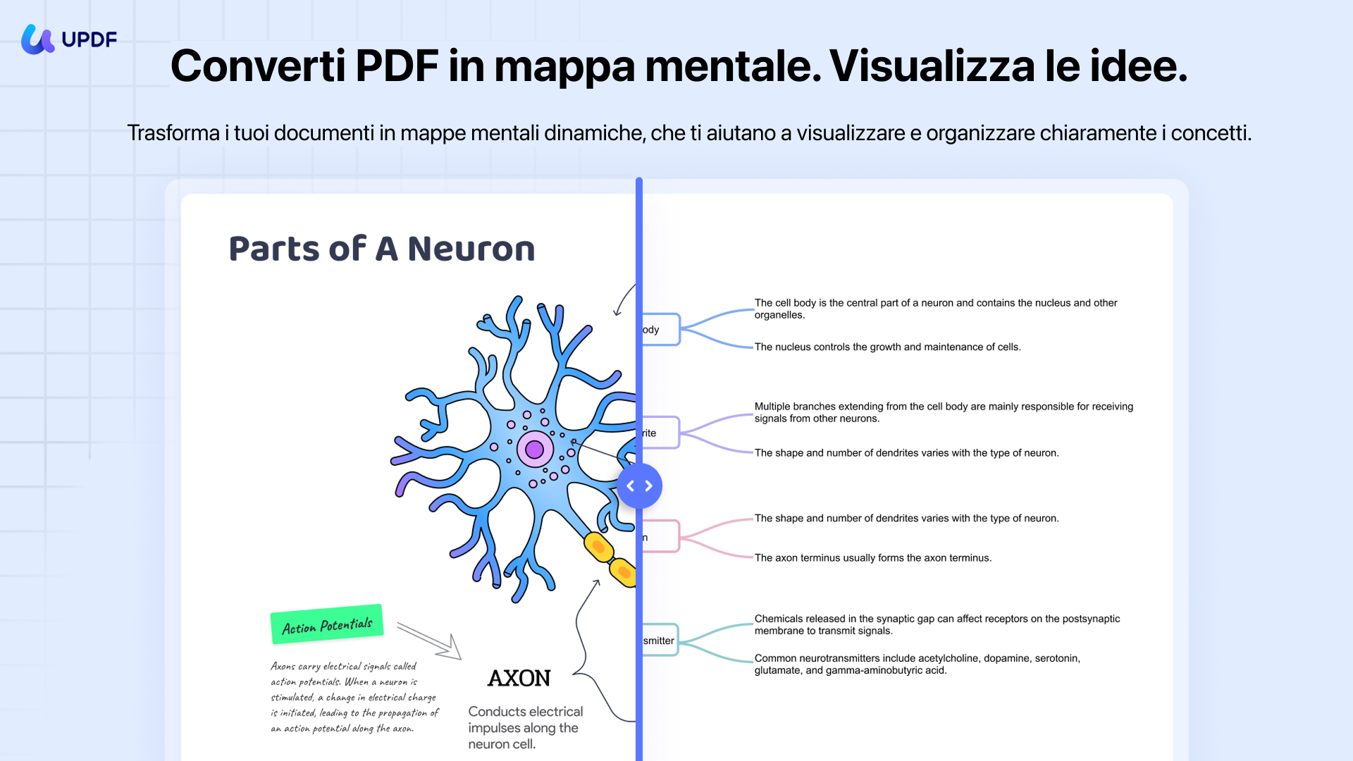 convert to mindmap