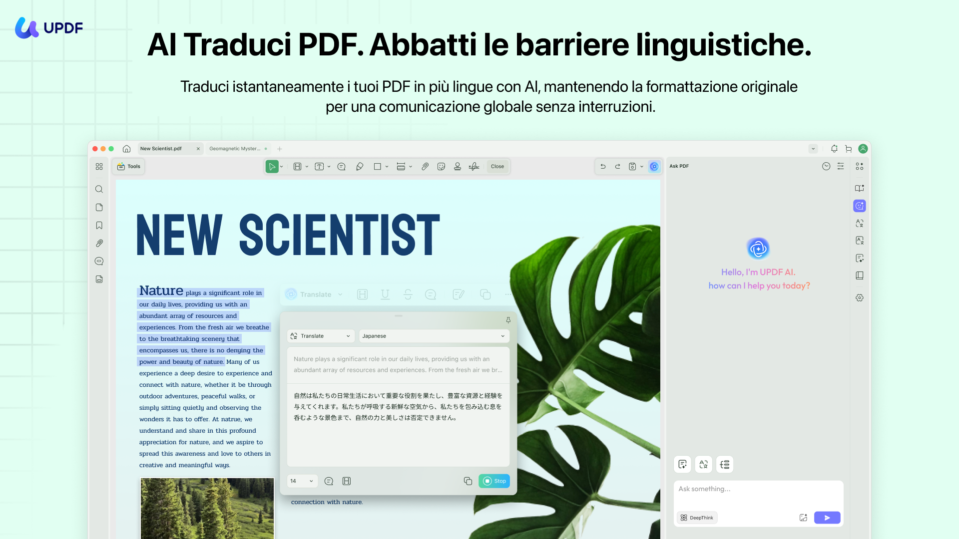 translate pdf