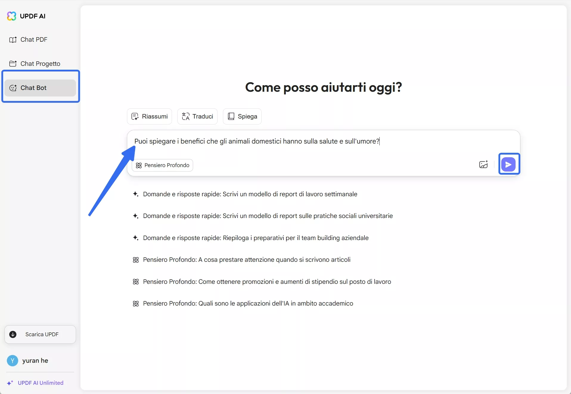 digita il prompt nel bot della chat
