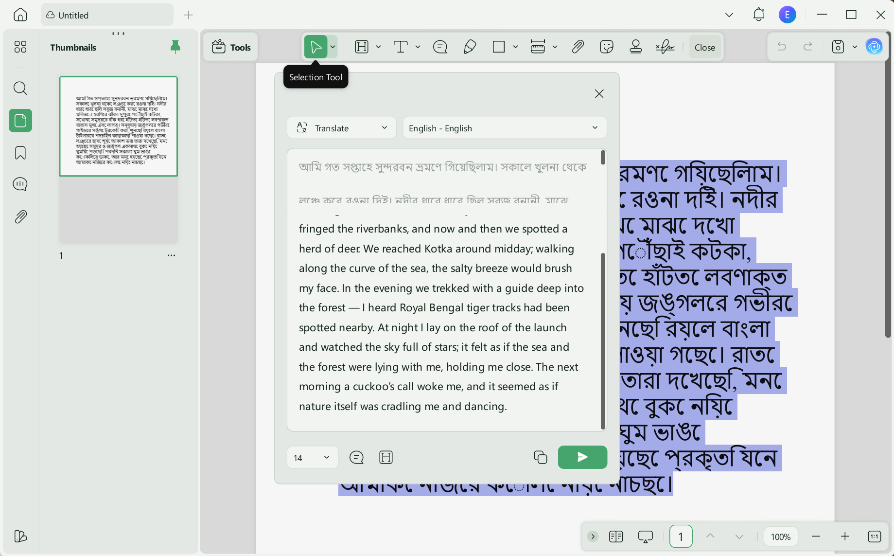 PDF translated