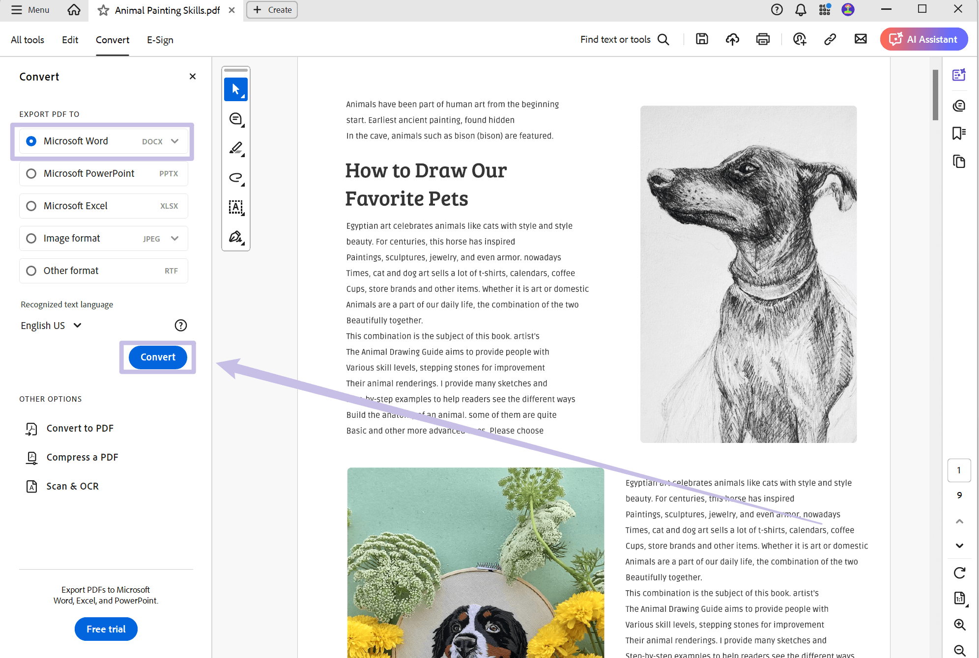 Converter PDF para Word 