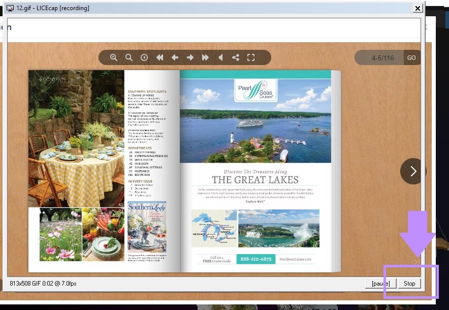 stop the recording licecap