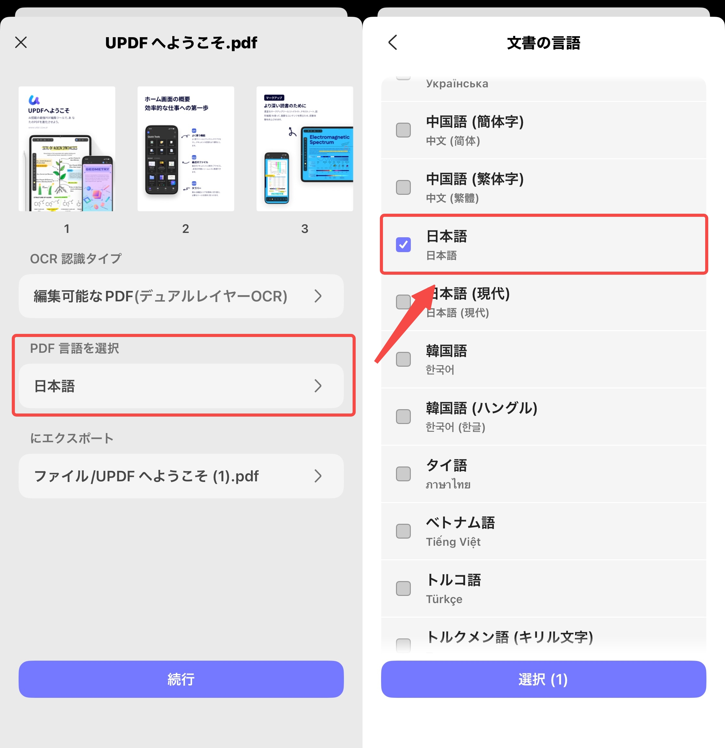 認識タイプと言語設定