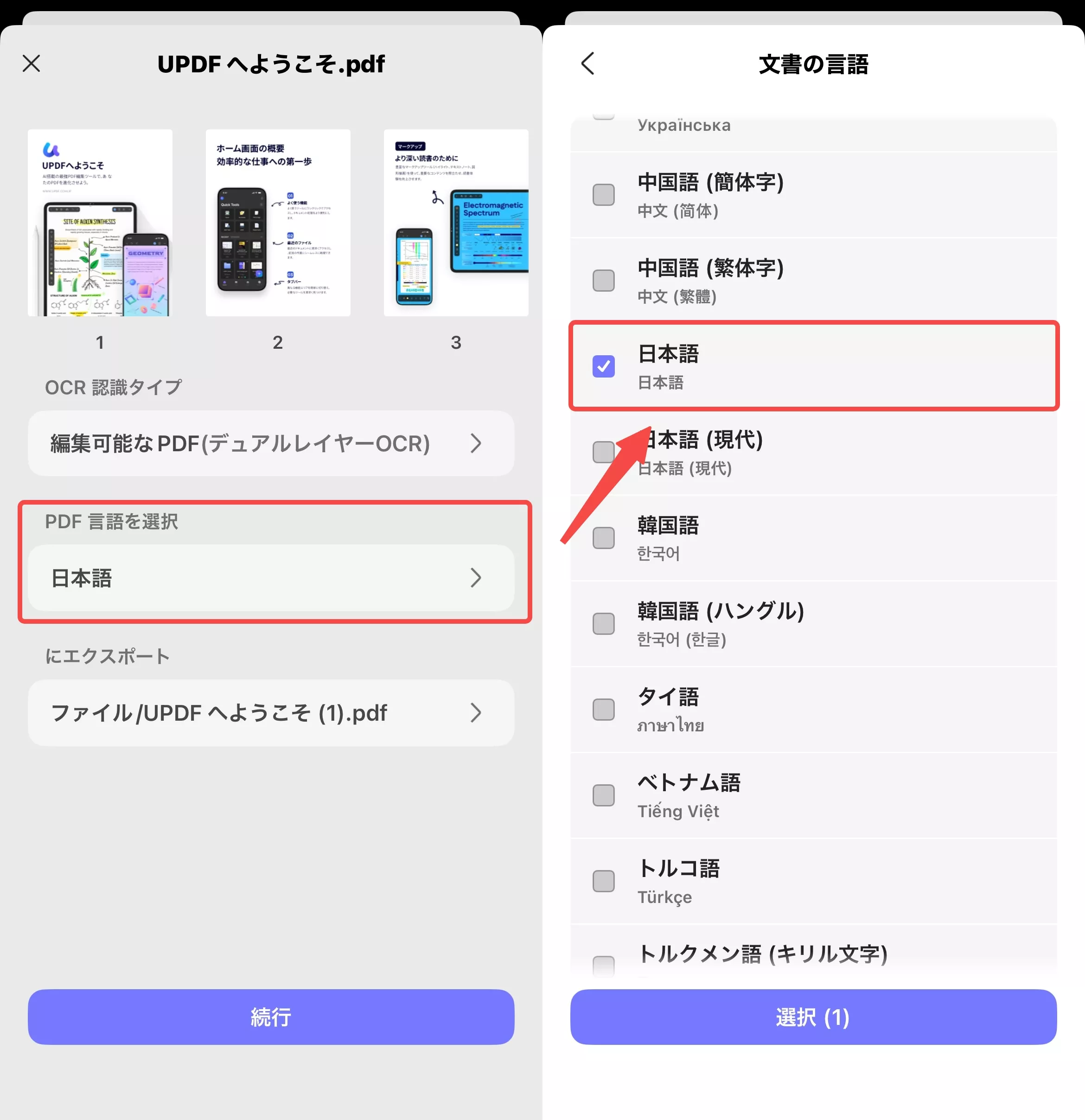 認識タイプと言語設定