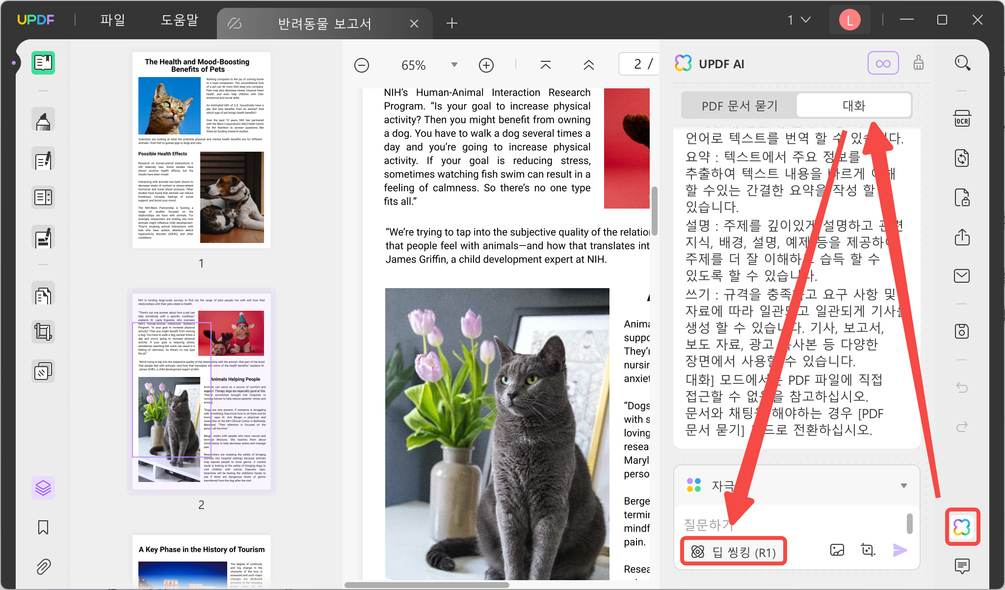 updf 데스크톱에서 deepseekr1 활성화하기