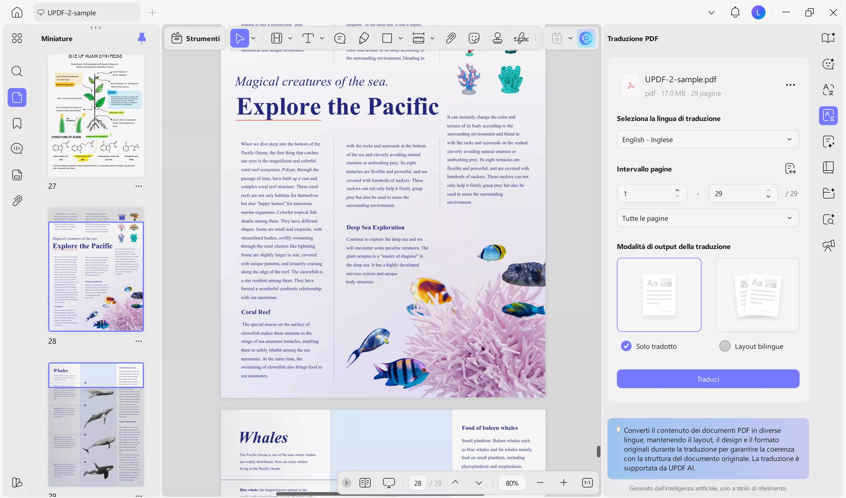configure the translation settings