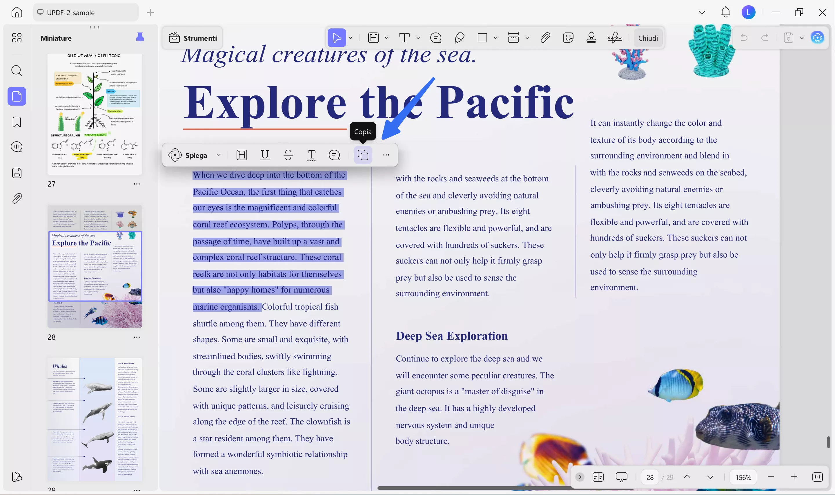 copy the content for explanation