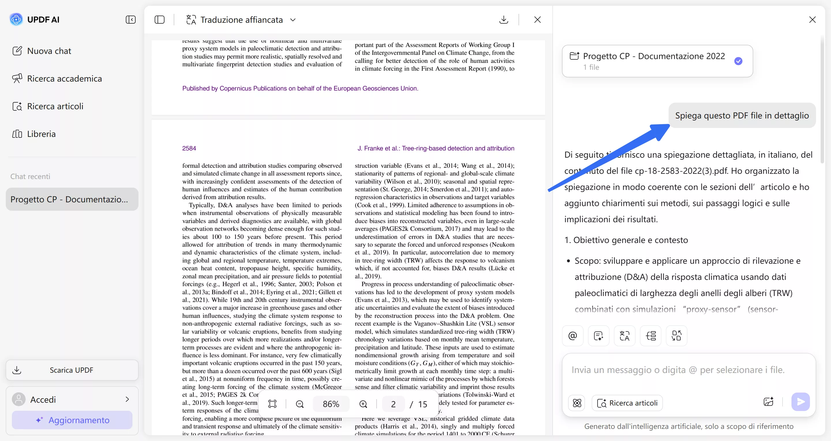 type prompt to explain