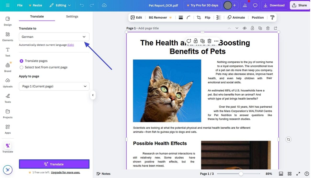 perform pdf translation canva