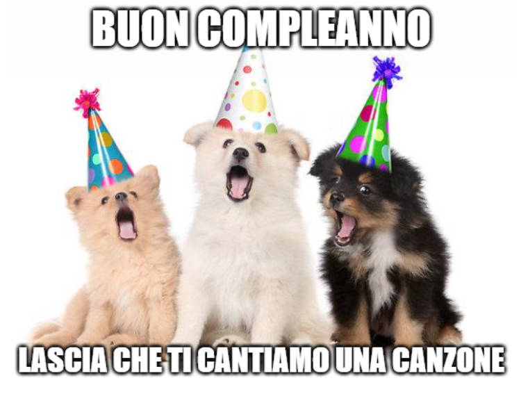 meme divertenti di buon compleanno