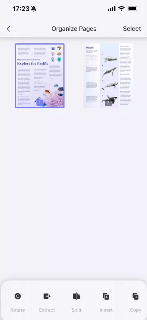 Organize PDF pages with updf for ios