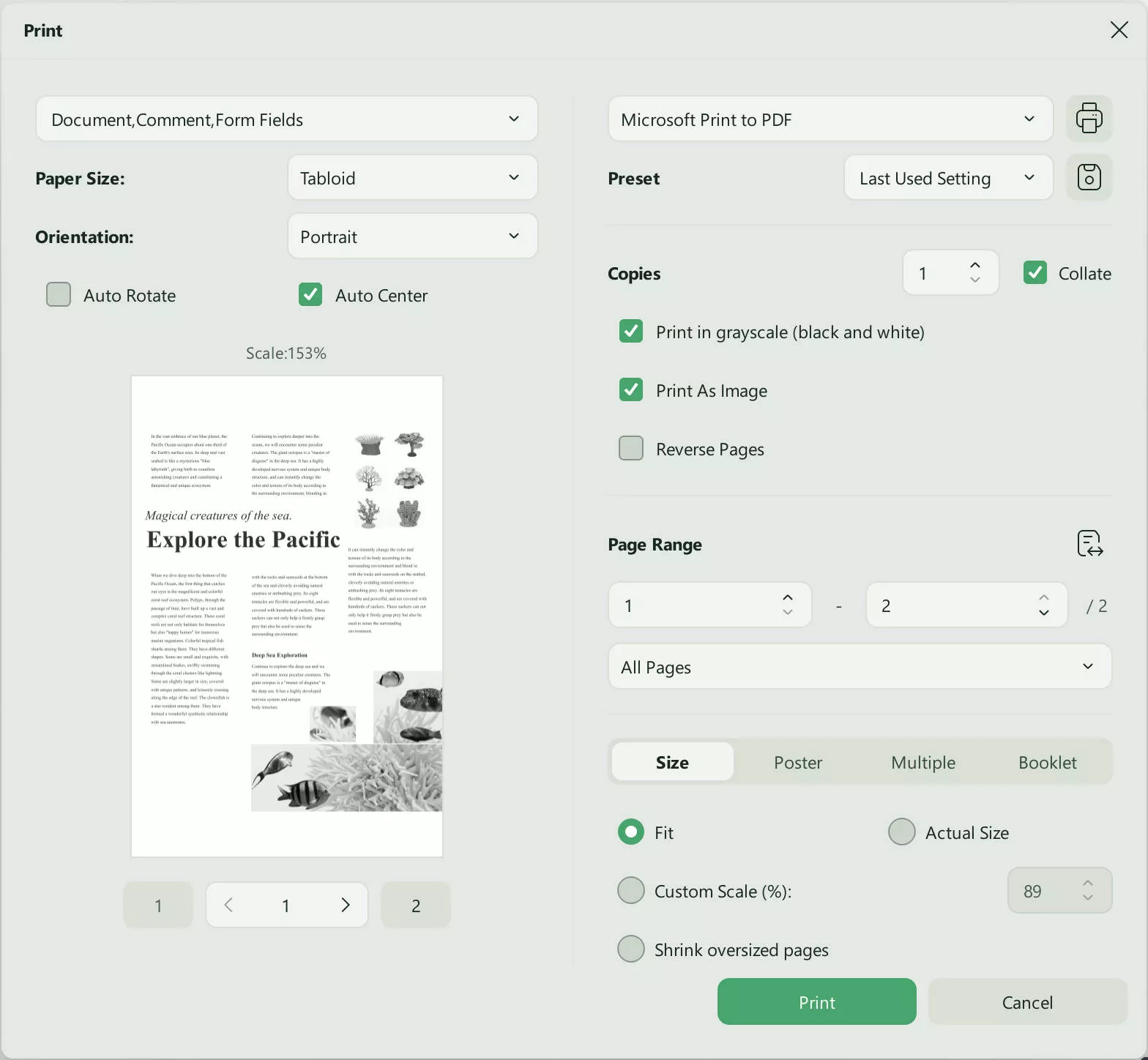 print the file updf