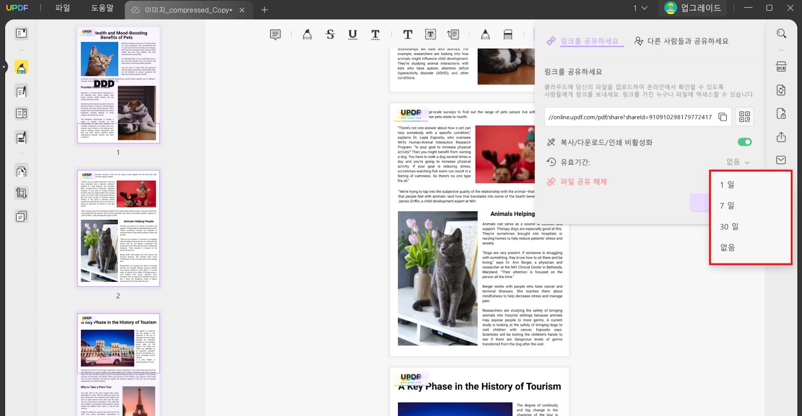 UPDF 링크 기한