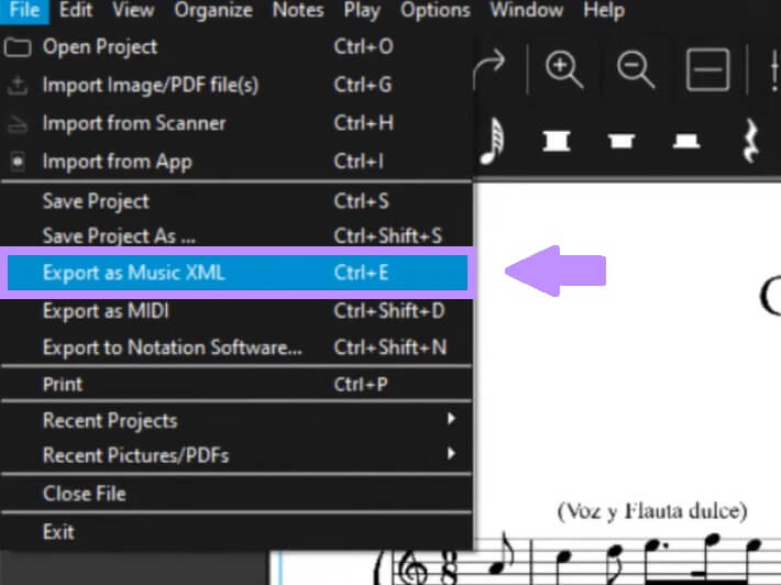 Exportieren im MusicXML-Format