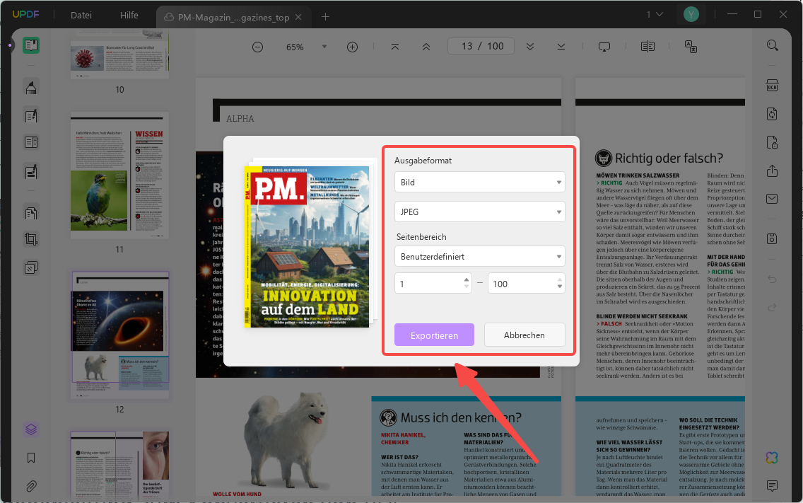 PDF in JPG