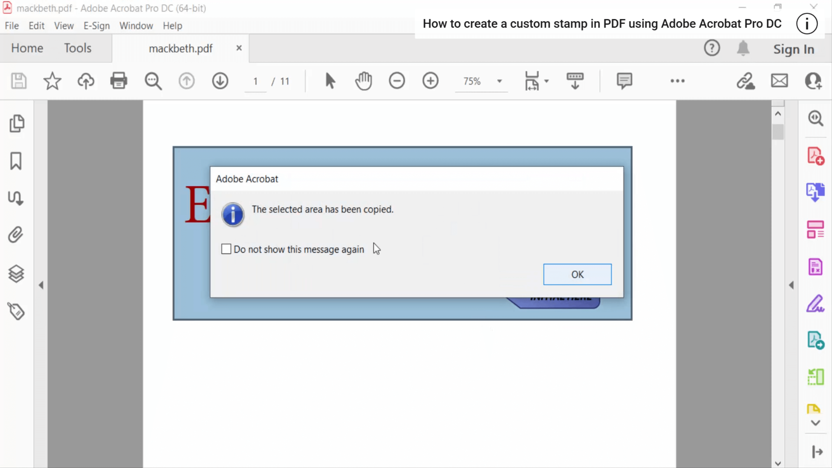 screenshot in old acrobat