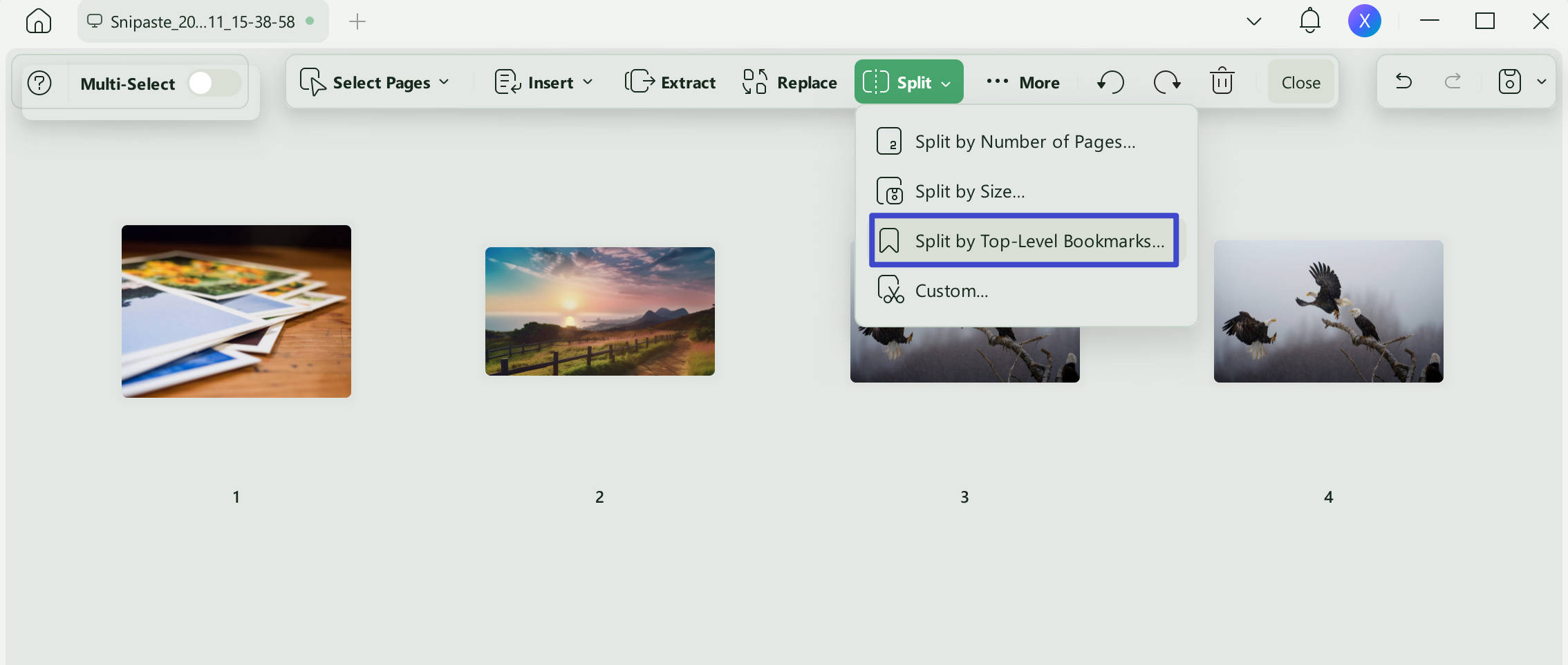 organize pages by split function