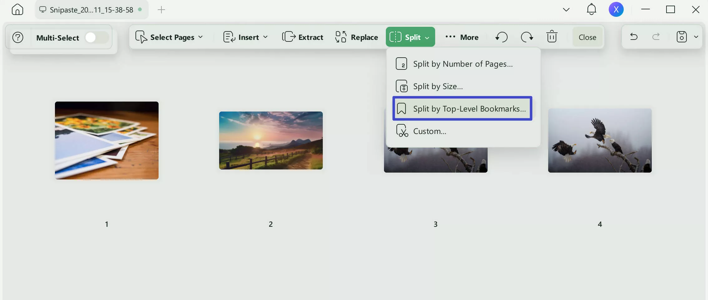 organize pages by split function