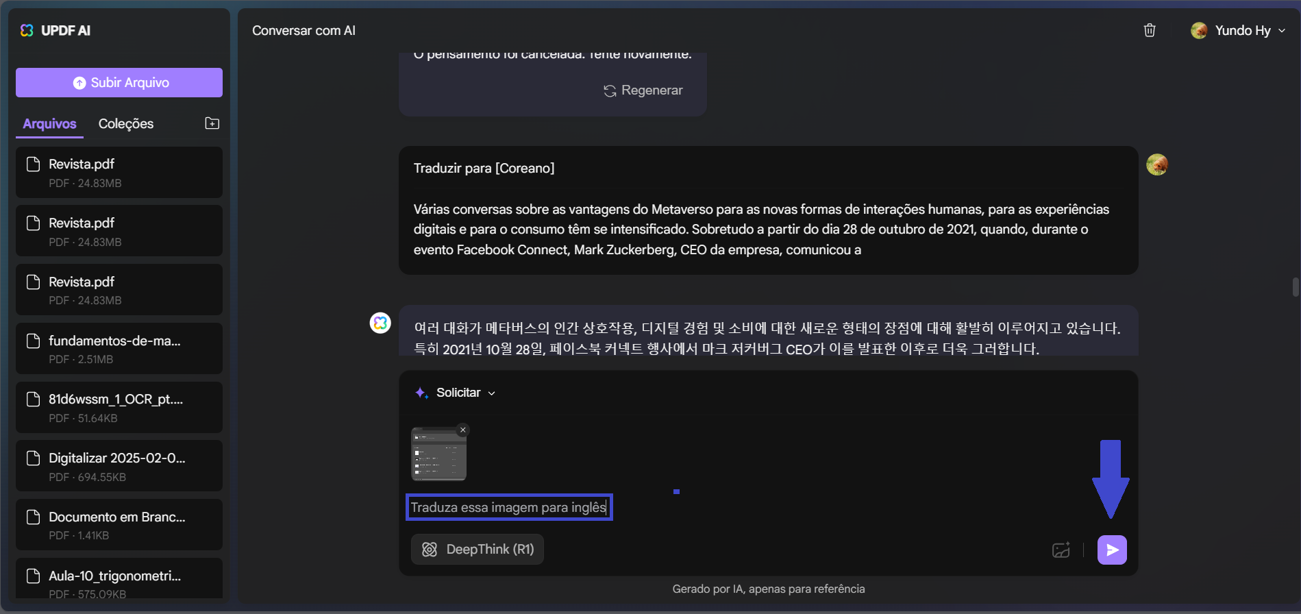 Traduzir Documento 