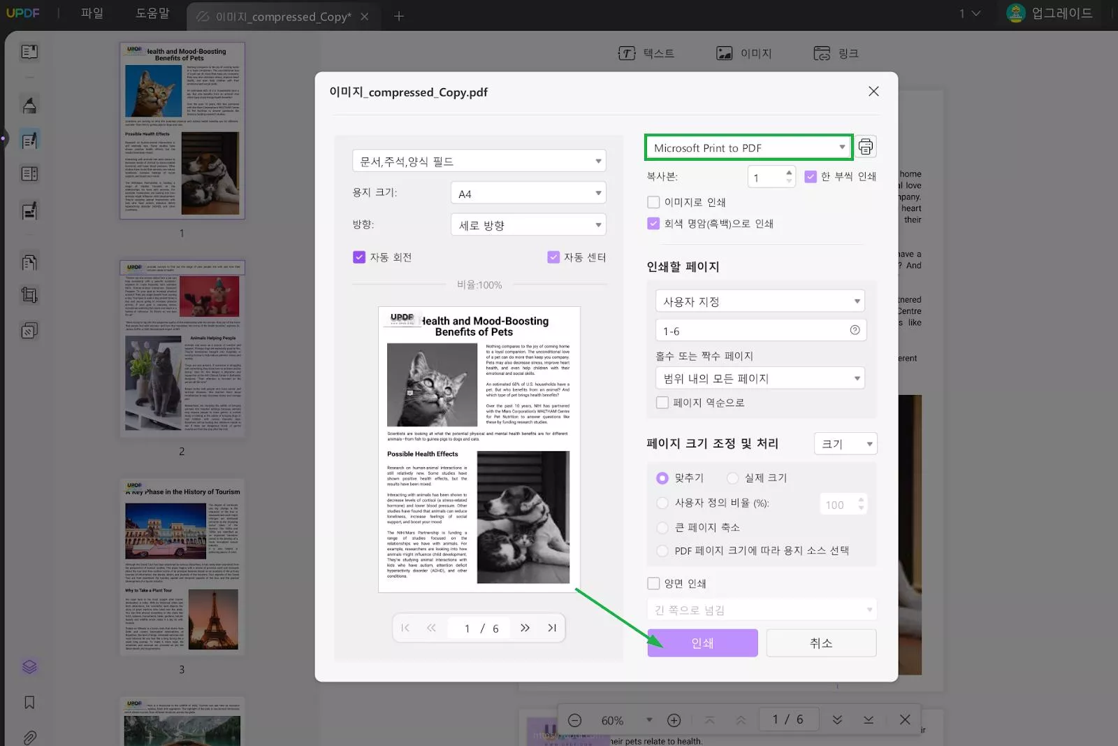 Microsoft Print to PDF
