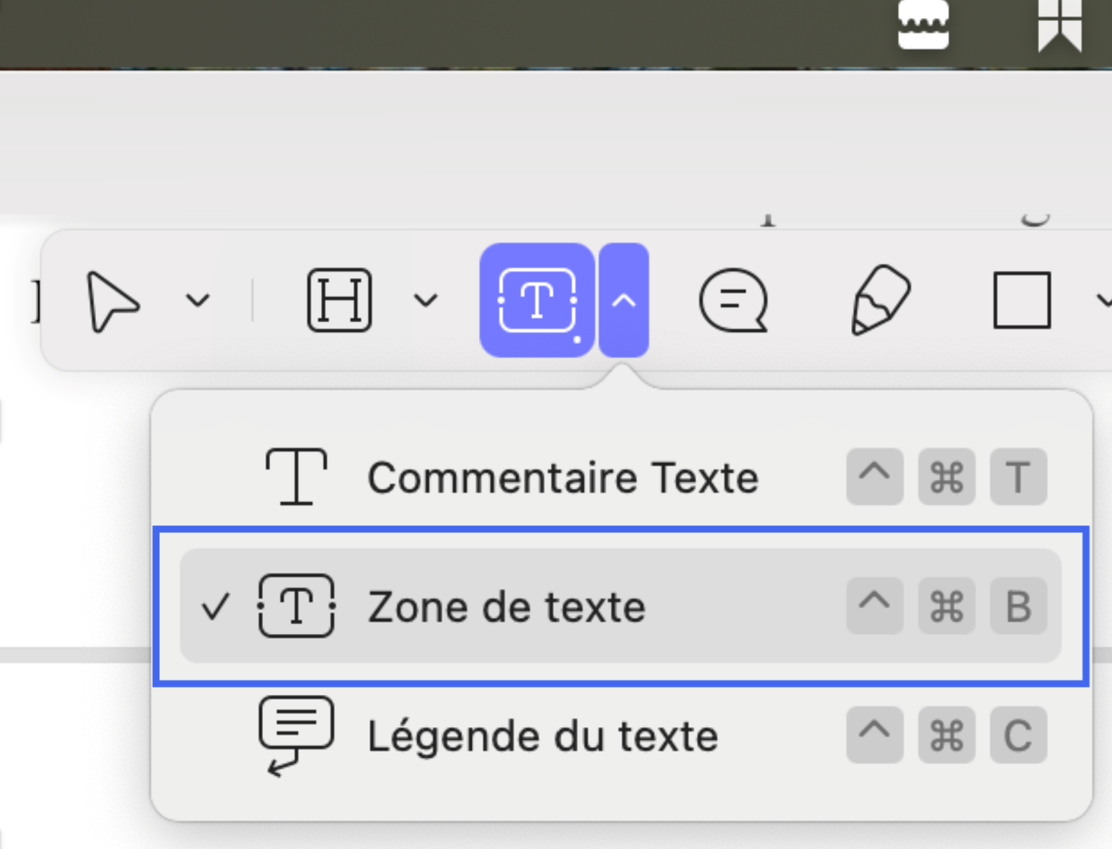 select text box