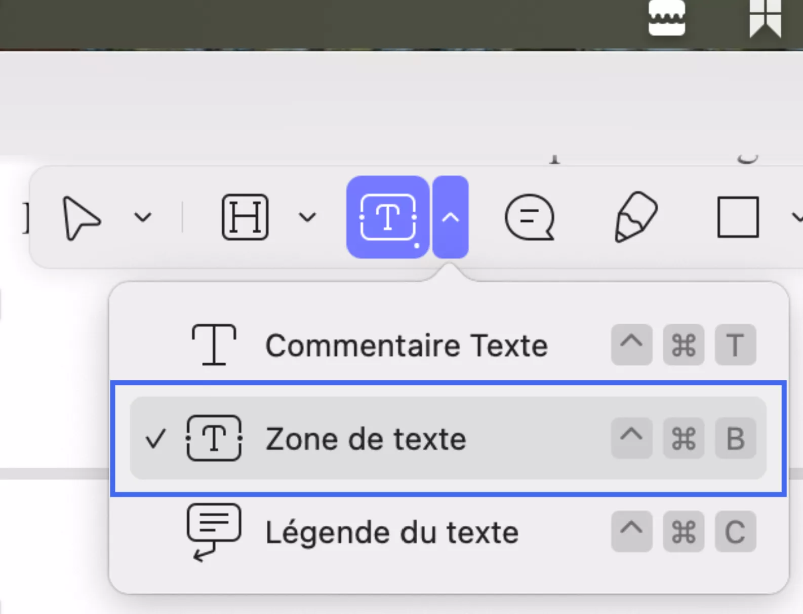 select text box