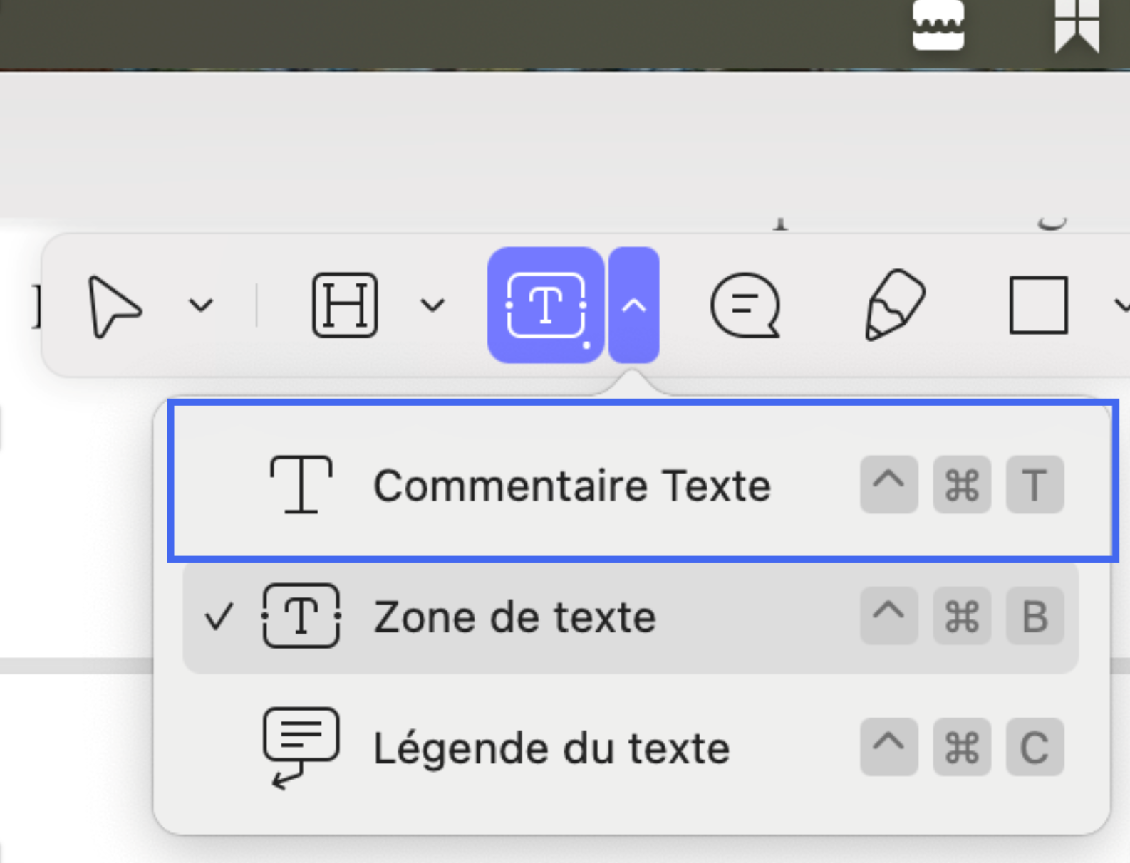 add text comment