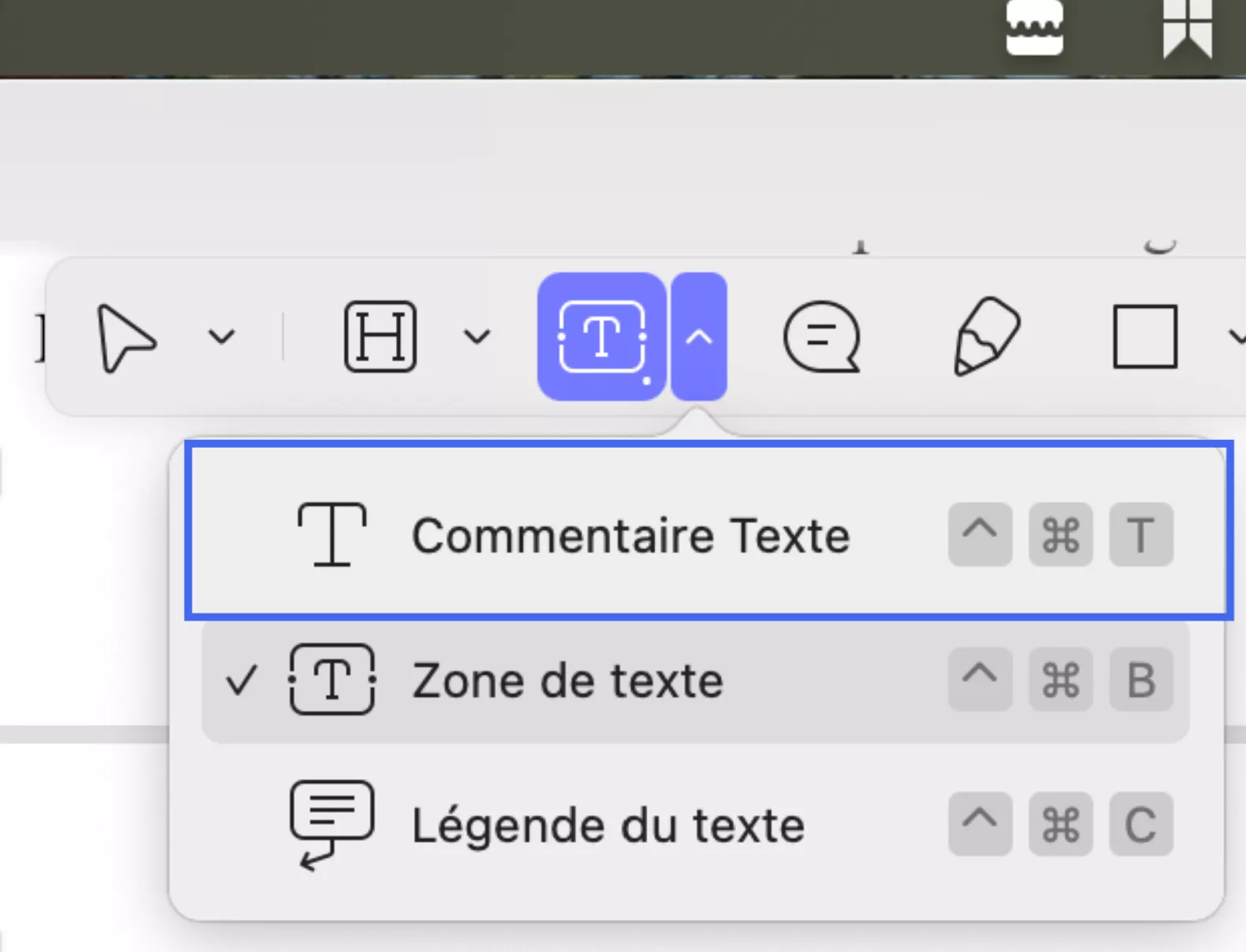add text comment