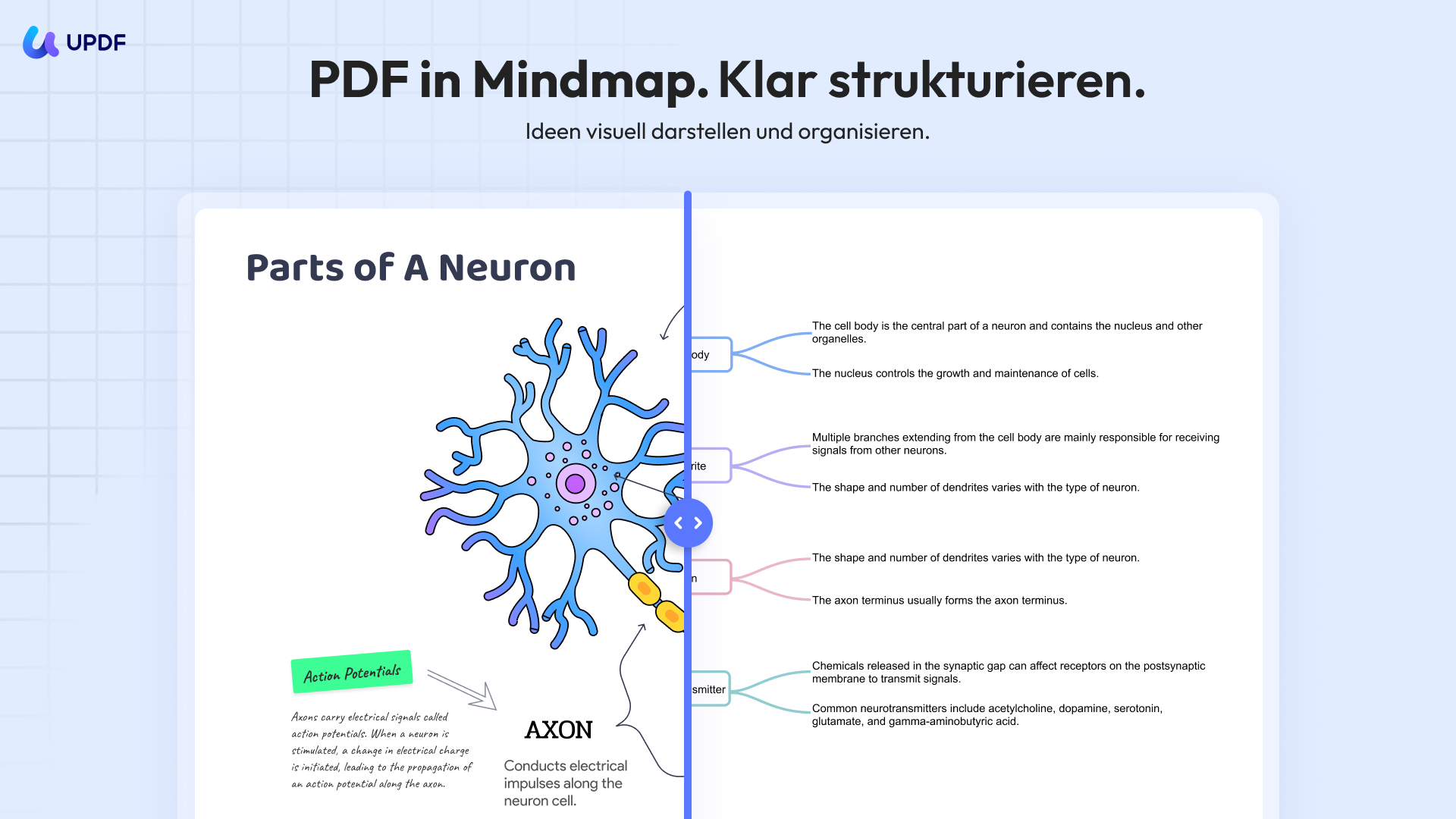 PDF zu Mind Map