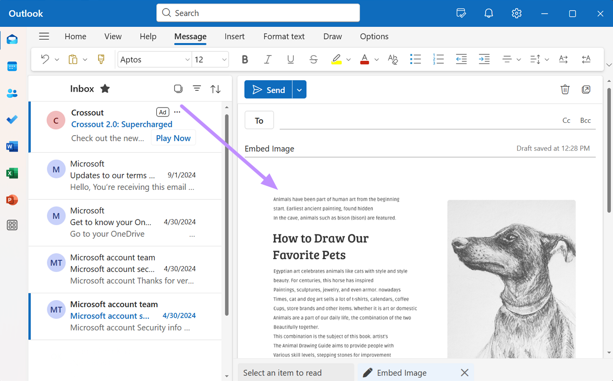 paste the image in email body 